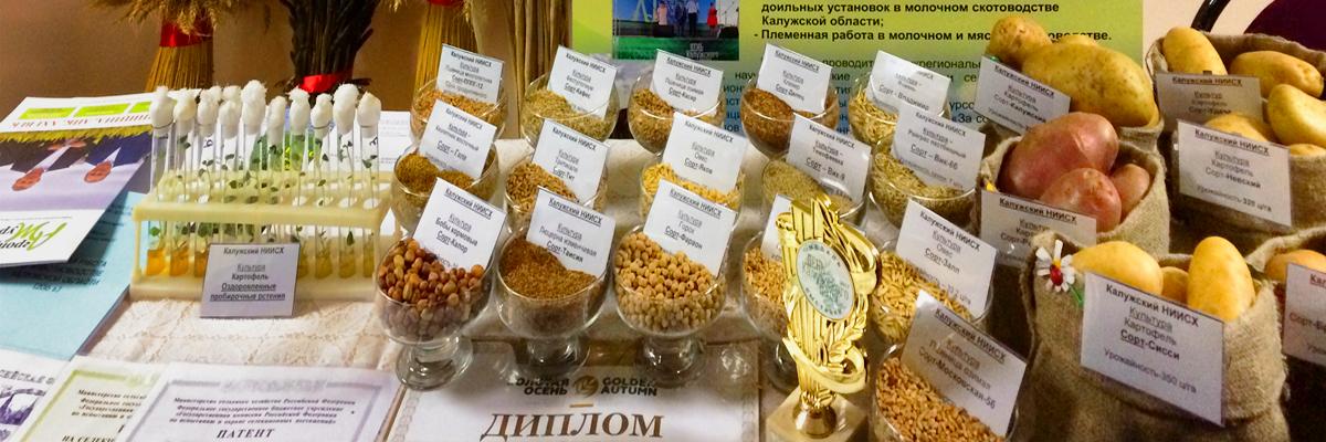 Страница с предложениями для продажи